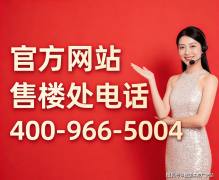 一看城市规划（沉点成长方